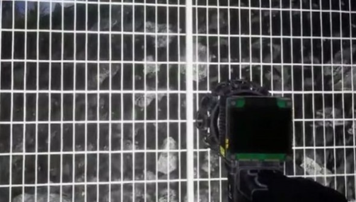 诡异的动物园正版