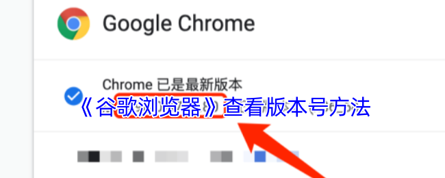 谷歌浏览器版本号查看方法