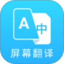 芒果游戏翻译器