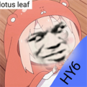 植物大战僵尸免费版