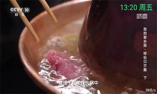 念想TV最新版