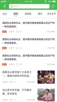 云赏信阳毛尖最新版